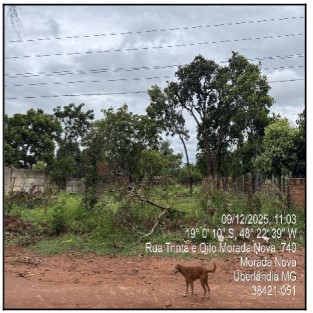 Terreno - Venda, MORADA NOVA, UBERLANDIA, MG